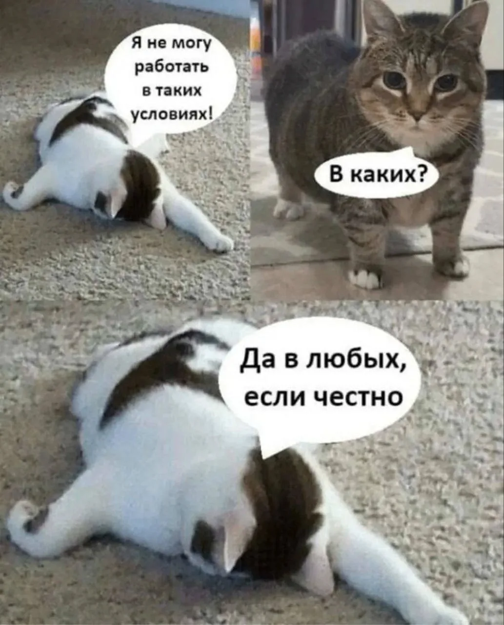 🙄🙄