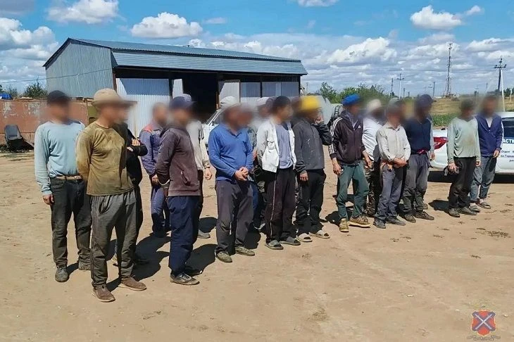 Партию иностранных работников, которые находятся и трудятся на территории Волгоградской области неле