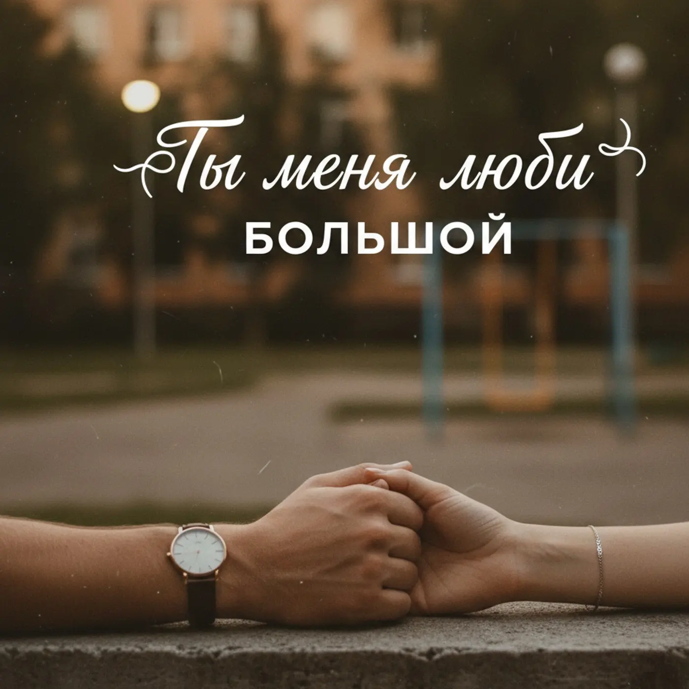 ПРЕМЬЕРА

song. Ты меня люби 
art. БОЛЬШОЙ

Я.Музыка
ВК.Музыка