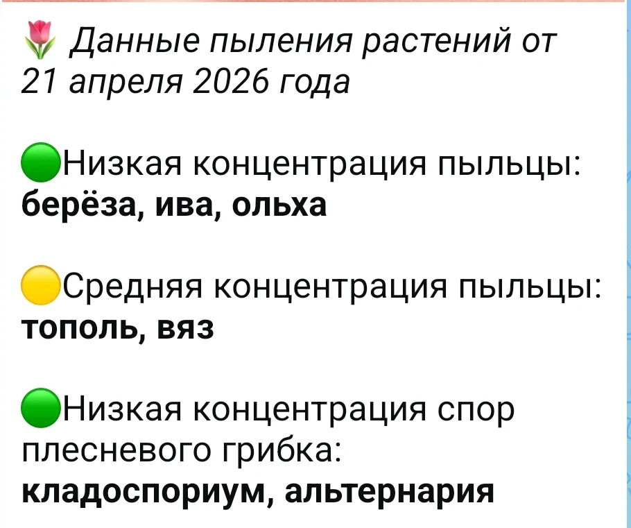 В Екатеринбурге пока приостановилось всё...