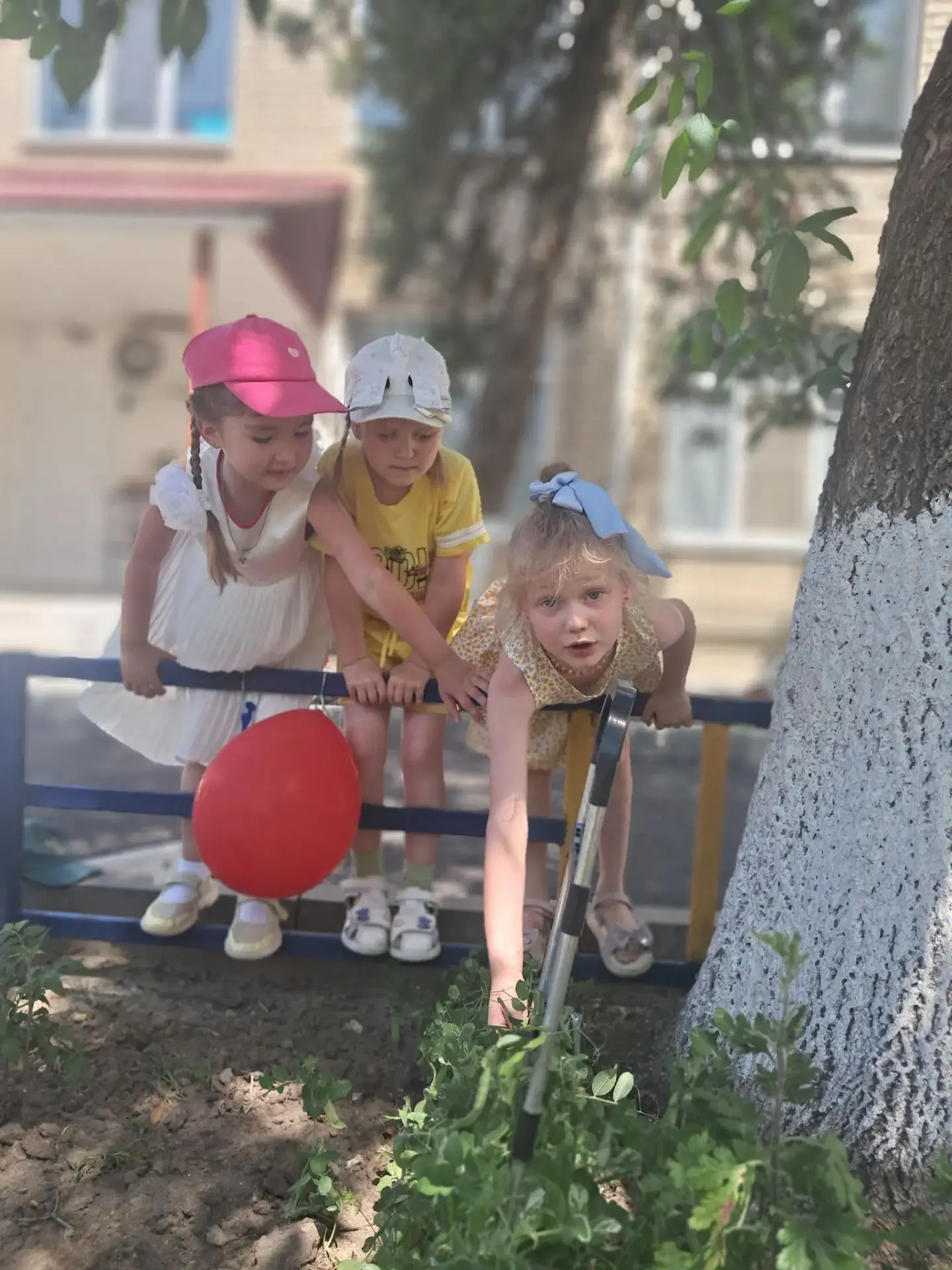 МБДОУ д/с №8, группа "Малинка" 👧🍓
Прогулка "Сбор урожая гороха" 🚶‍♀️🌱
Цель: помочь детям увидеть
