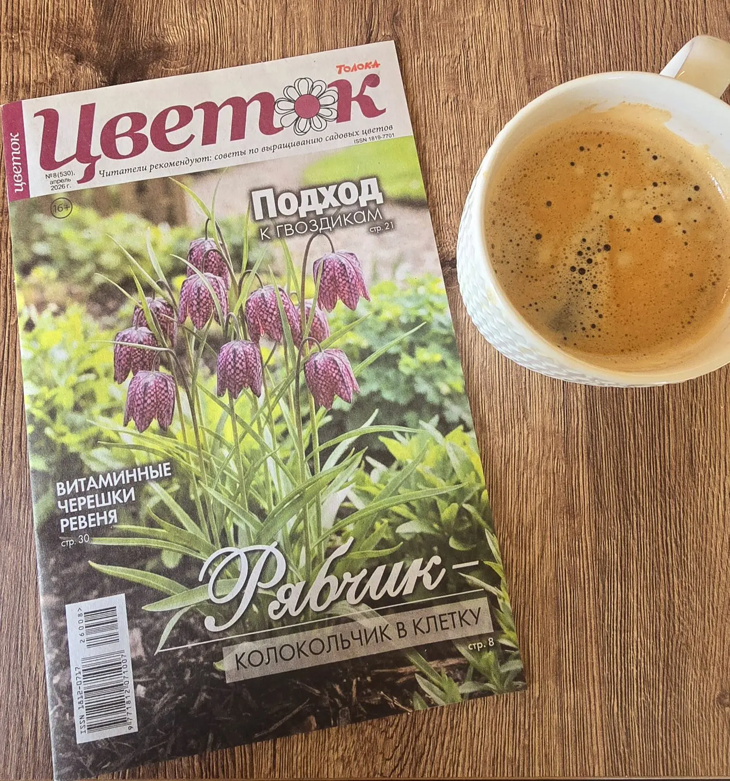"Как раньше, никто журналы не заказывает". Вот, Миша на почту ходил забрать мой журнал... за апрель 