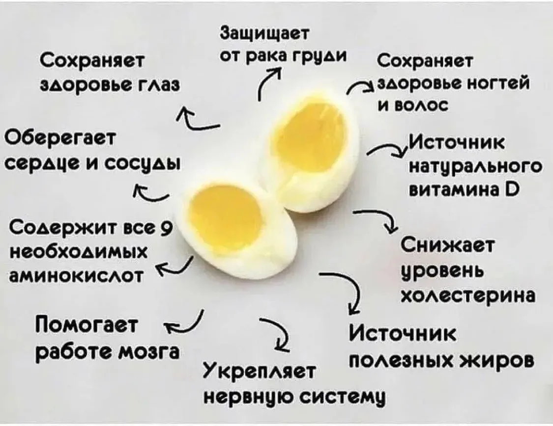 Яйца - это вредный холестерин или польза? 

Если честно, яйца уже столько лет пытаются выставить зло