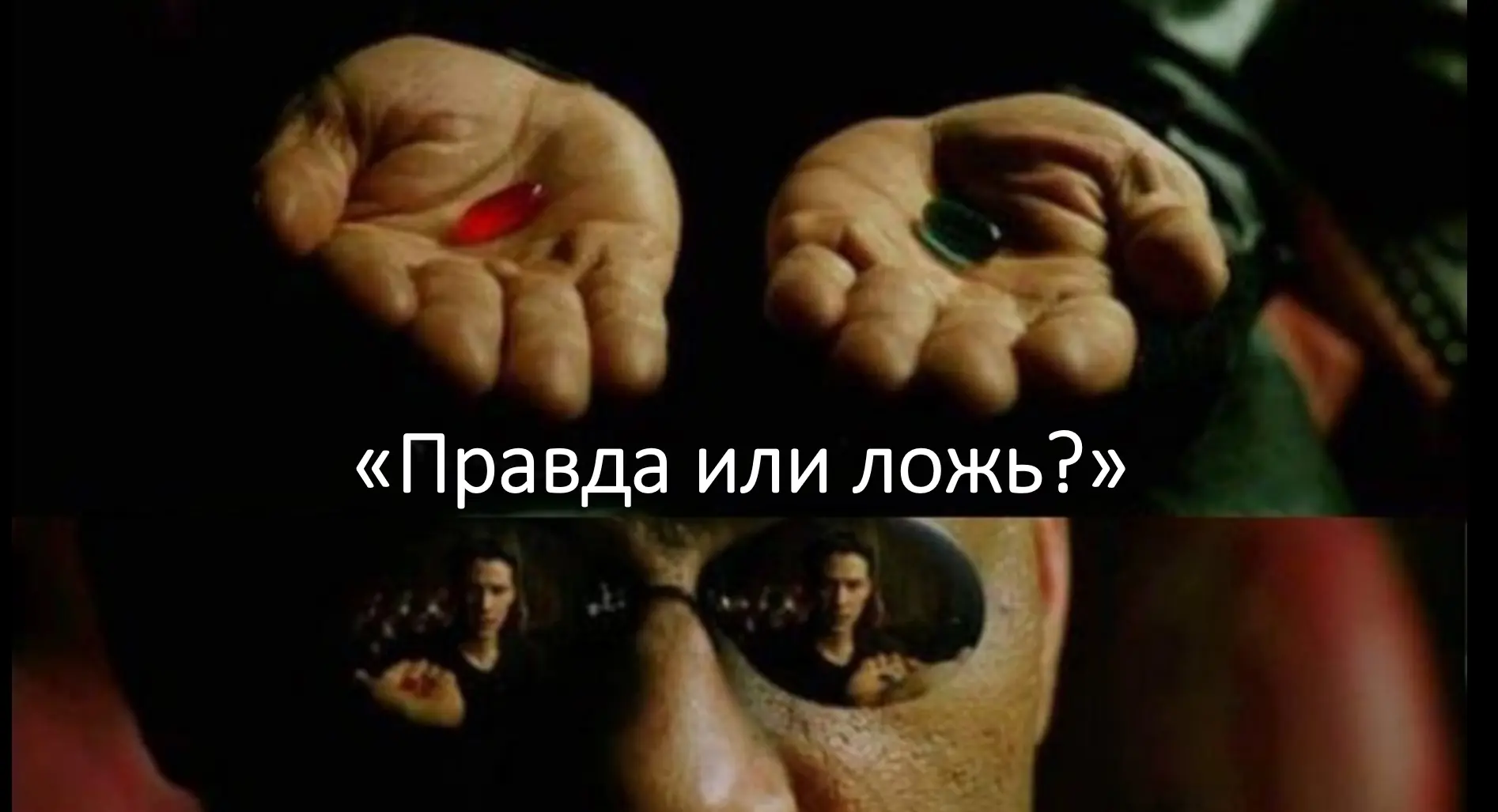 В нашей школе прошла познавательная биологическая игра «Правда или ложь?» для учеников 6 класса.

Ре