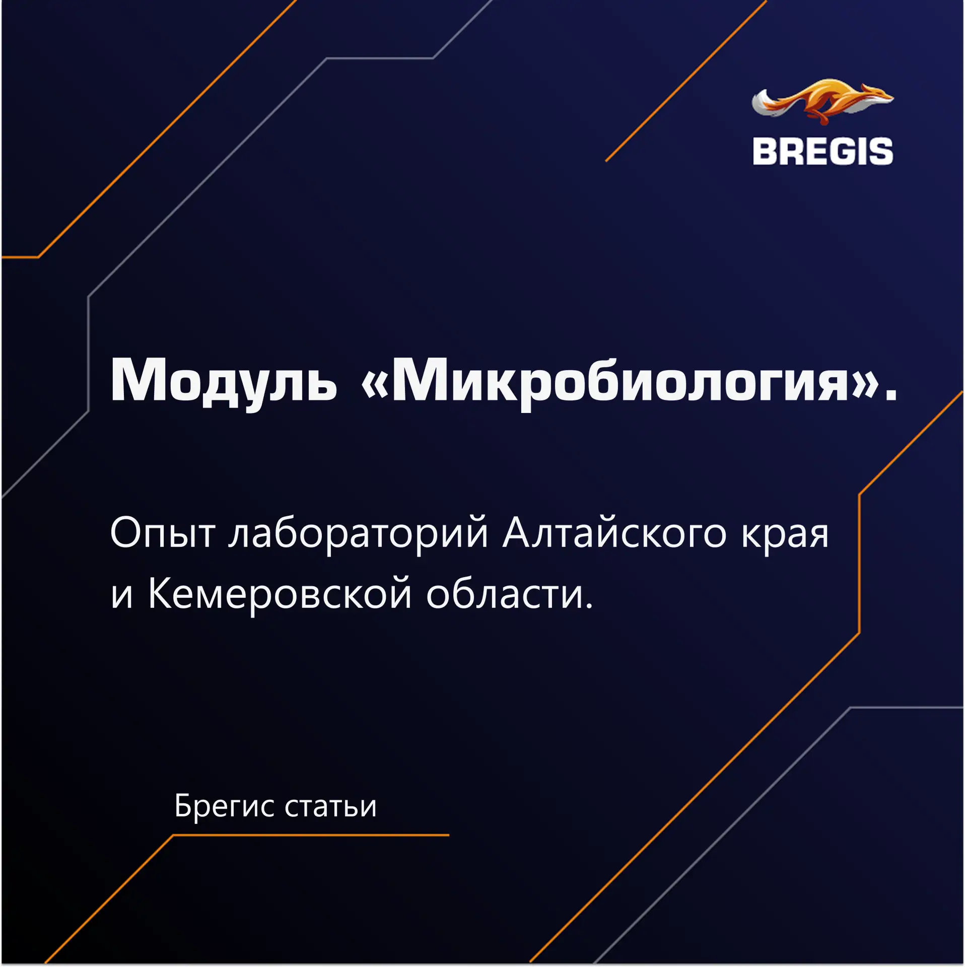 Микробиология — одно из самых востребованных направлений лабораторной диагностики. 

В нашей новой с