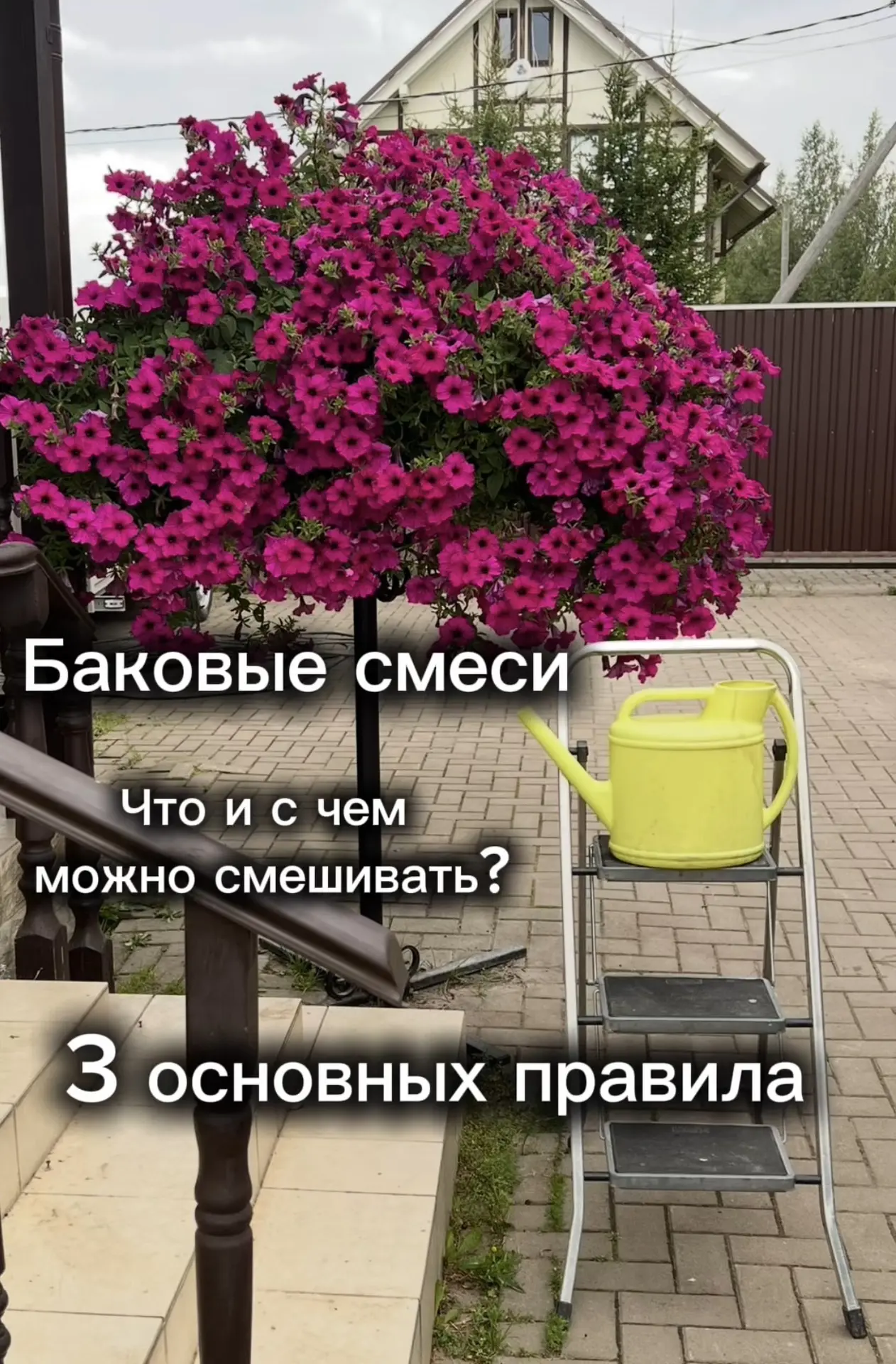 Баковые смеси. Что и с чем можно смешивать? 
Такие вопросы я получаю каждый день, так как далеко не 