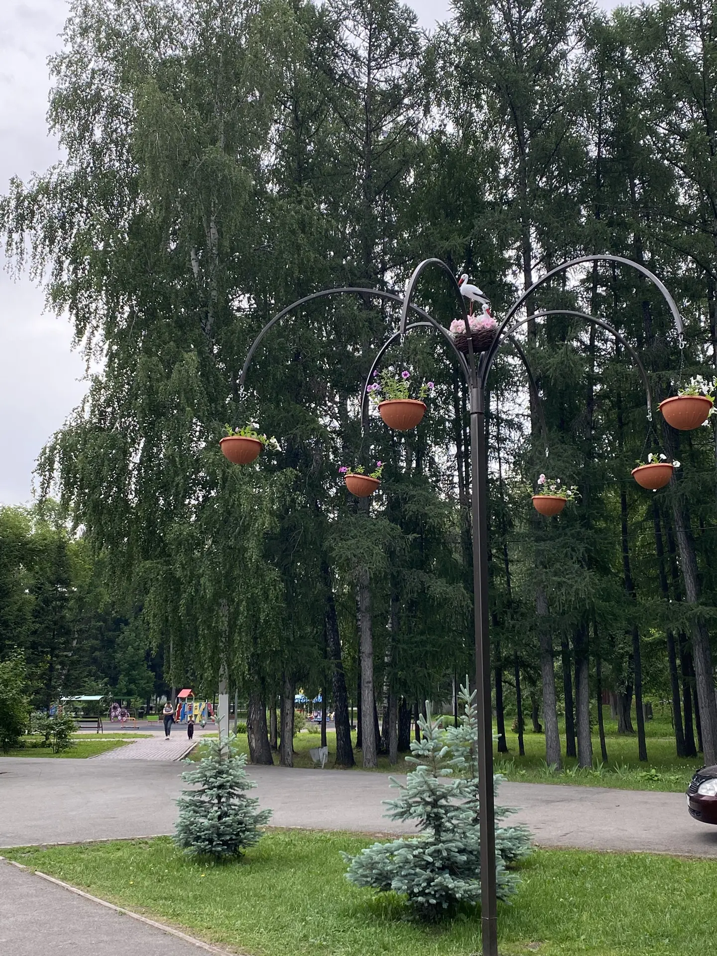 Доброе утро ☀️ 
Желаем всем жителям нашего замечательного города прекрасной недели! Пусть она будет 