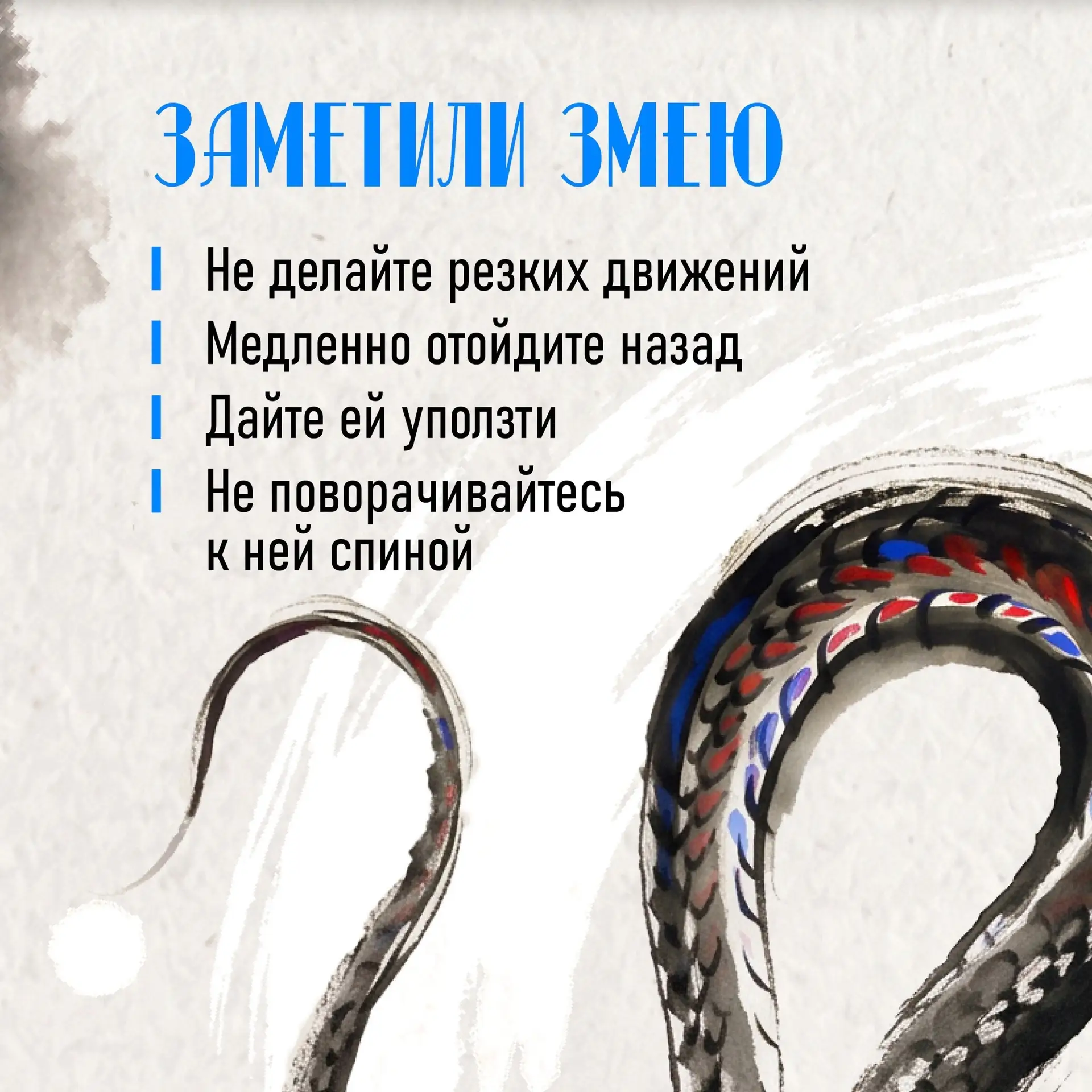 Как вести себя при встрече со змеёй

🐍 Летом в Приморье змеи активны. Их можно встретить на даче, у