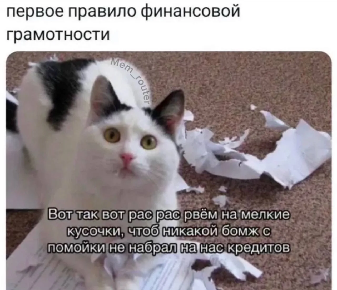 Мы? 😁