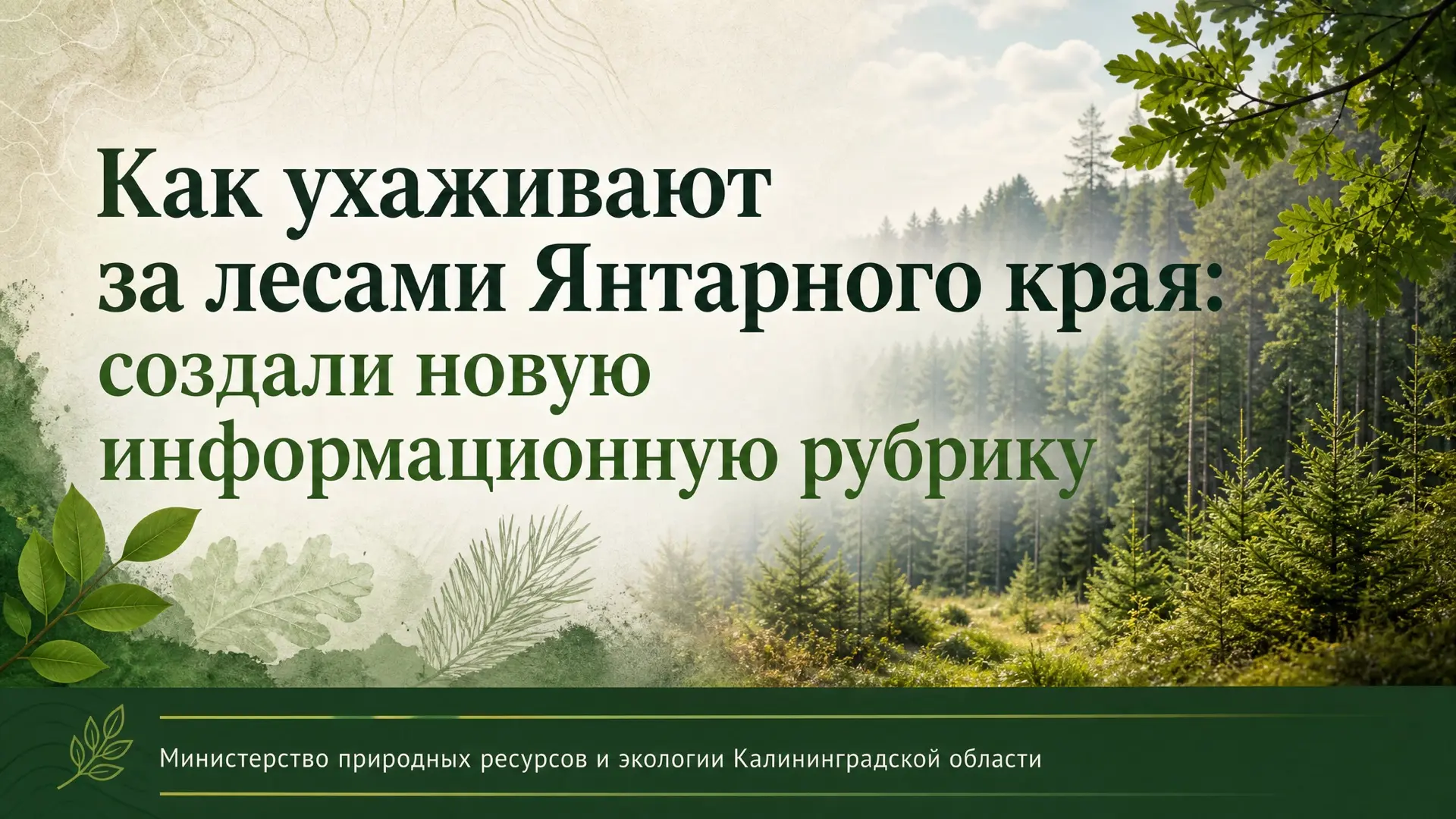 Как ухаживают за лесами Янтарного края: создали новую информационную рубрику

✅Министерство природны