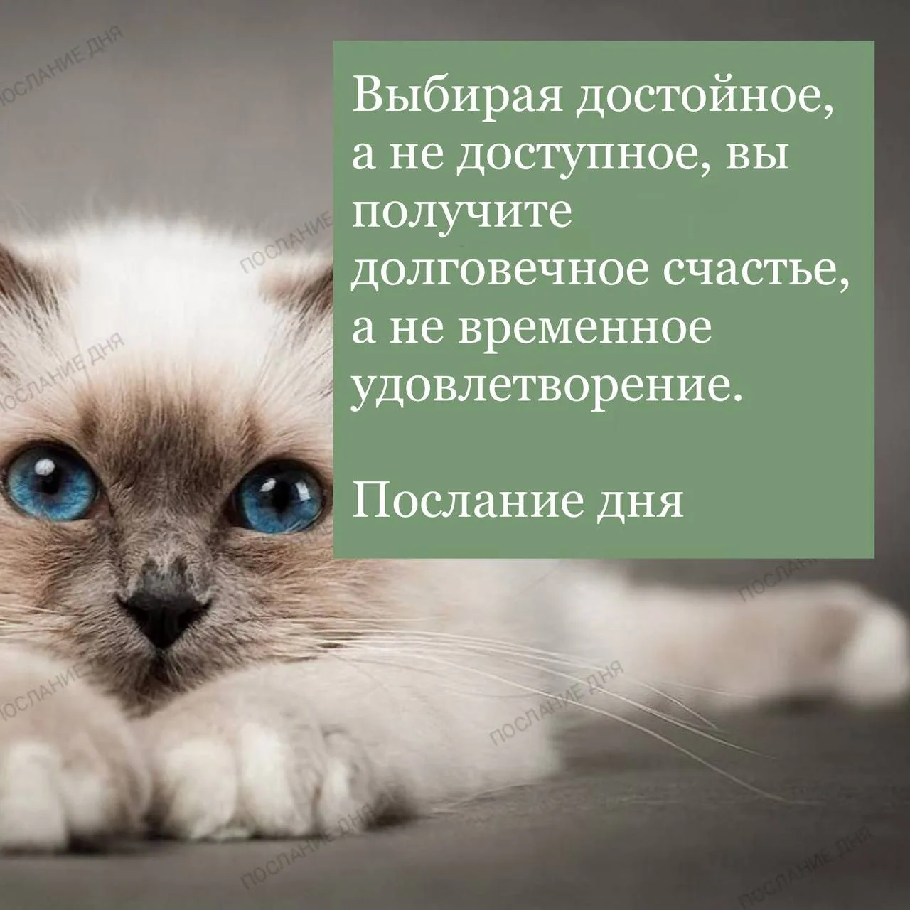 Послание дня