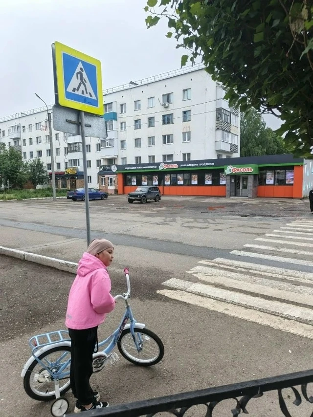 Чикирева Елизавета воспитанница МАДОУ детский сад № 29 участвует в городском челлендже «Правильный Д