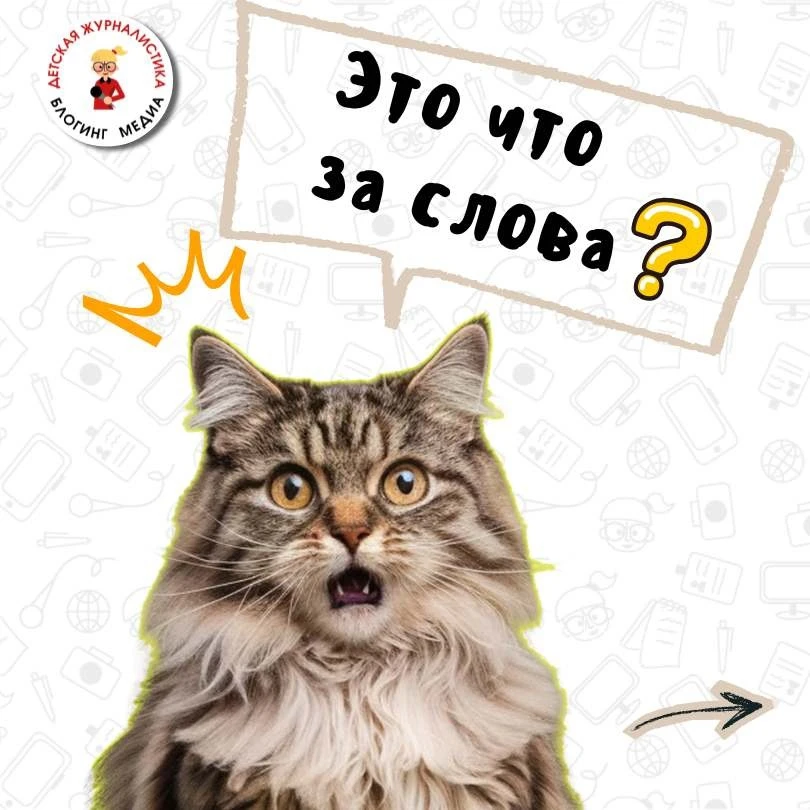 Всем пятничный ореховый привет и новый пост с котиками 😜

Уже видели подборочку прикольных слов? 

