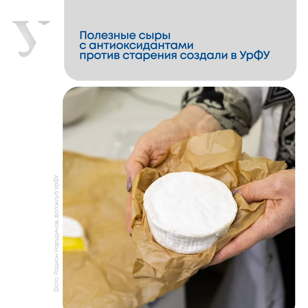 Учёные УрФУ создали полезные сыры

Химики обогатили чеддер и сыр с белой плесенью антиоксидантами — 