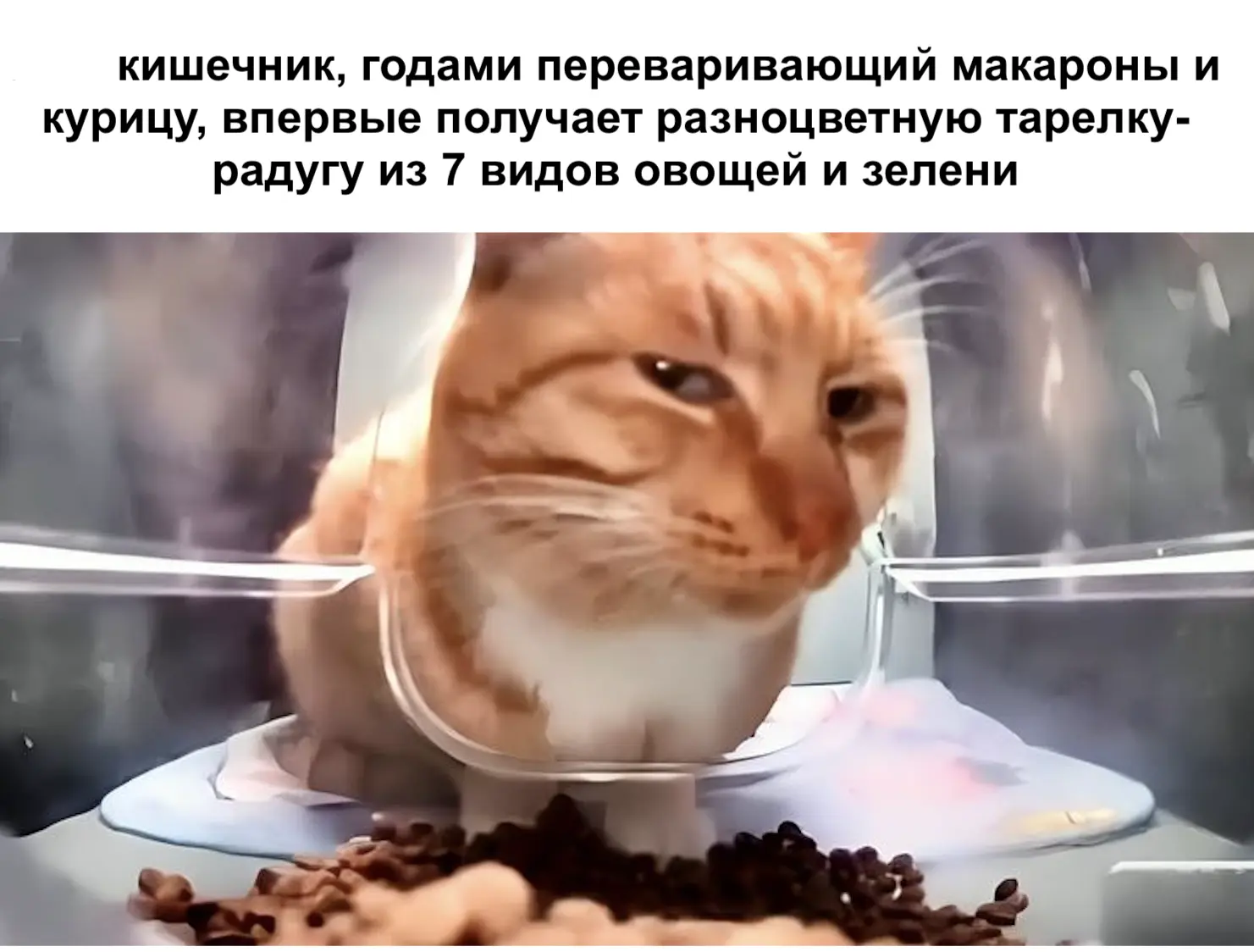 Питание: от ограничений к изобилию.

Те из вас, кто был на моем курсе "ПП без заморочек", сейчас точ