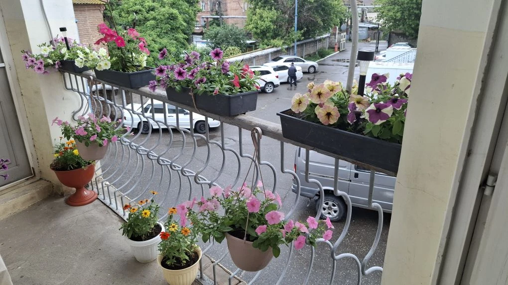 Посадили мы цветы, чтобы было больше красоты! 🌺🌼🌿

В рамках благоустройства территории сотрудники