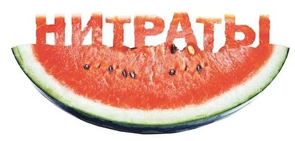 Разрезал сегодня арбуз с рынка — мякоть ярко-красная, аж переливается, жена сразу говорит «точно нит