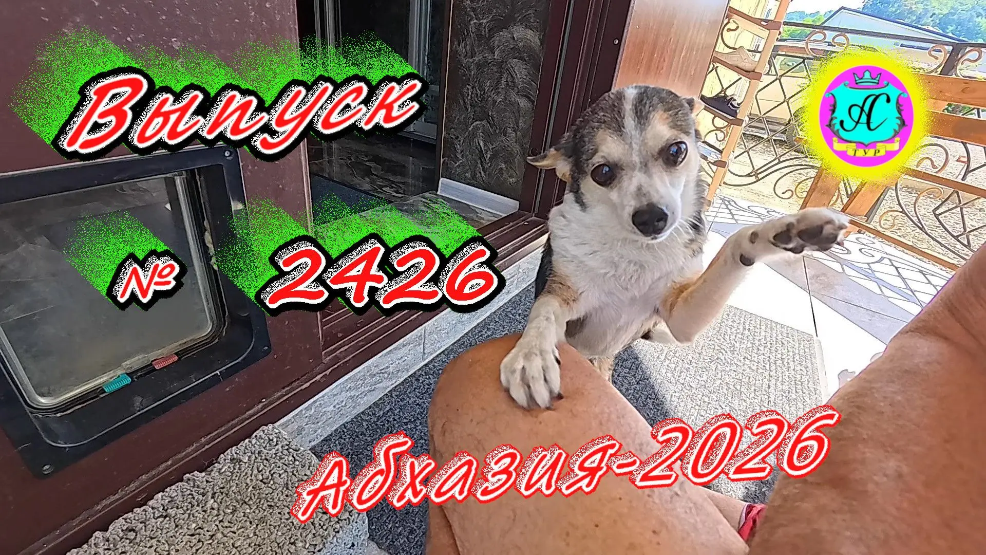 #Абхазия2026🌴 13.06.26г.🔥 Выпуск № 2426❗вчера +29°🌡ночью +17°🌡море +22,0°🐬