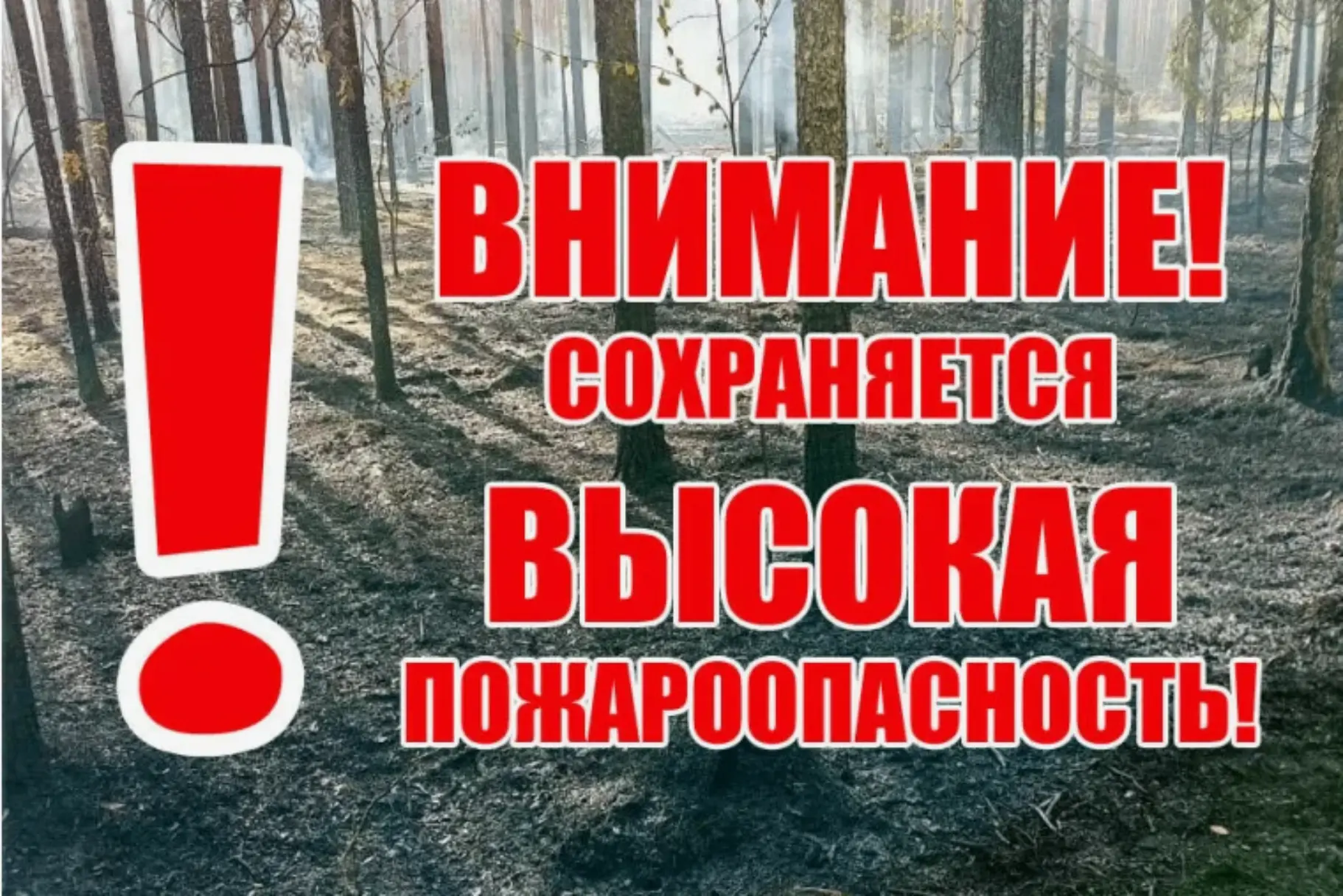 Комитет госзаказа Крыма информирует о пожароопасном сезоне в Крыму
Во время пожароопасного периода в