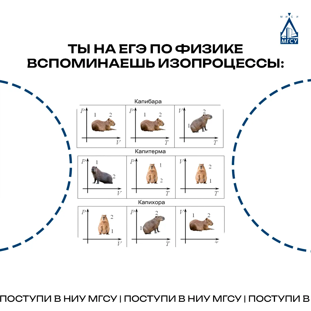 💙Желаем успехов на ЕГЭ по обществознанию и физике!

Уже завтра состоится ЕГЭ по обществознанию и фи