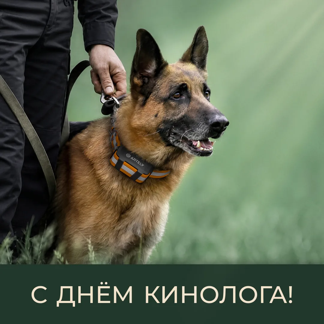 🦮 Кинологи — люди особой профессии, построенной на доверии, дисциплине и глубоком понимании животны