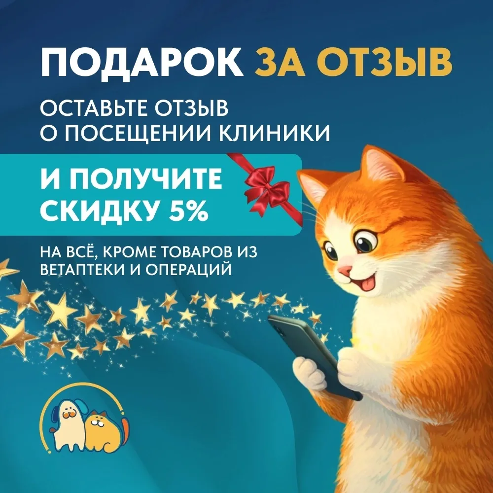 Дорогие клиенты! ❤
 
Нам важно знать Ваше мнение. Поэтому мы дарим скидку 5% на всё, кроме товаров и