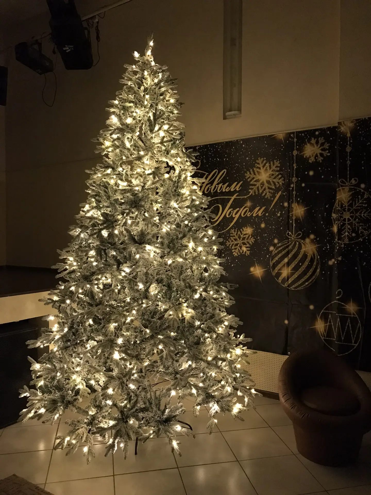 Наша елочка почти такая же, как в лесу 🌲🎄