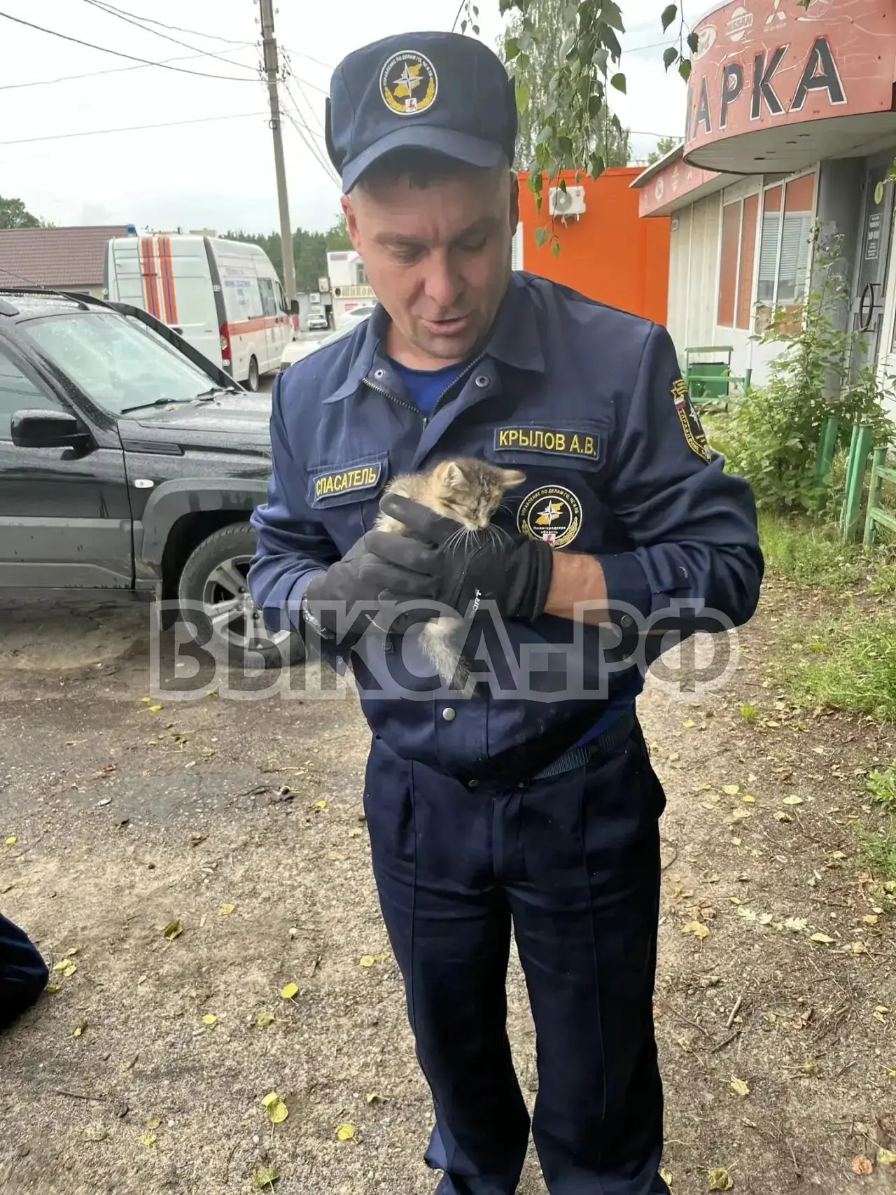 🐾 Пушистая операция в микрорайоне Юбилейный

Сегодня выксунские спасатели бережно сняли с дерева ко