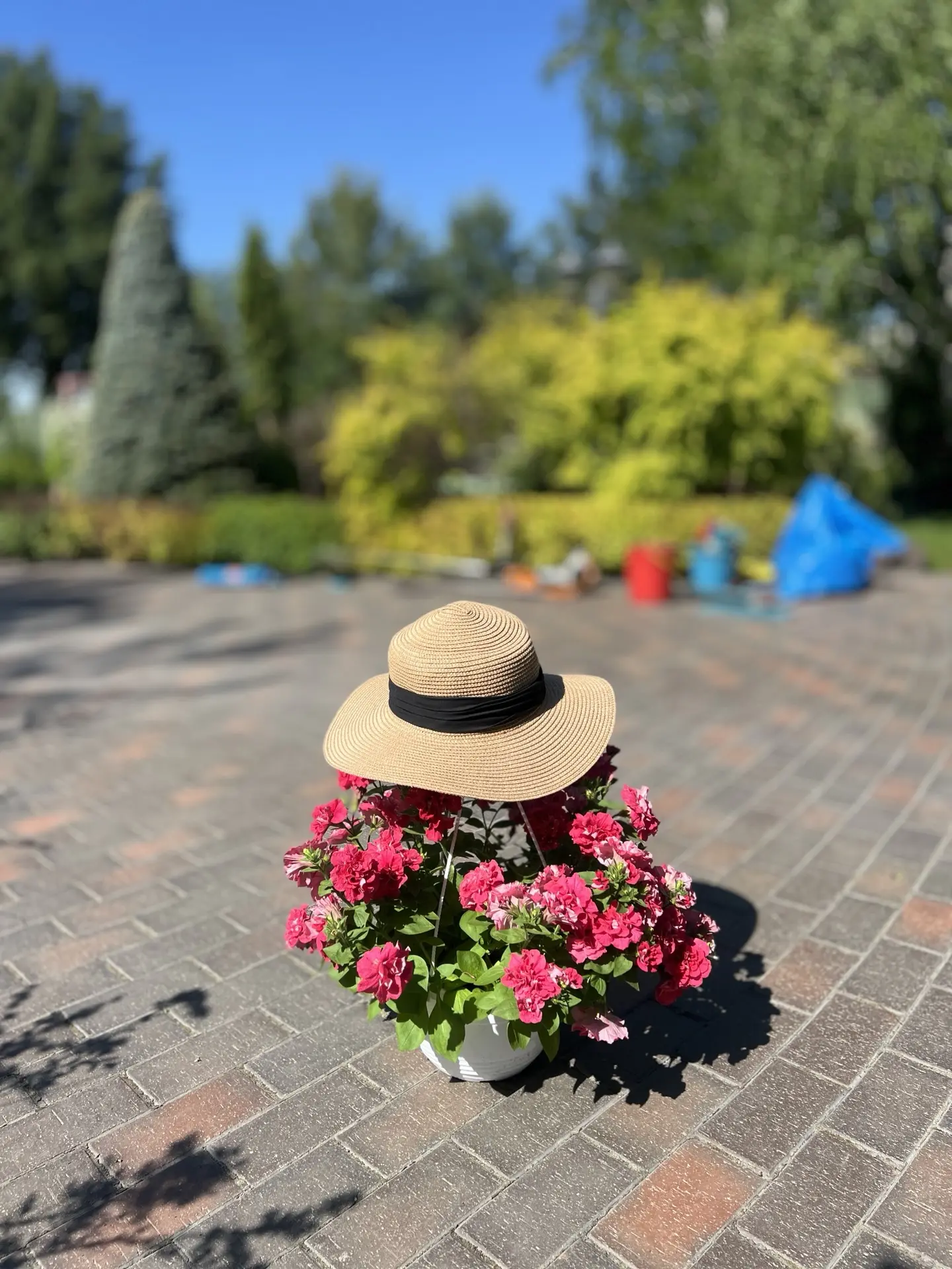 👒 пусть сегодня будет просто:
ЛЕТНЕЕ БЕЗЗАБОТНОЕ ФОТО 🧚

Так хочется все исправить… чтобы не пришл