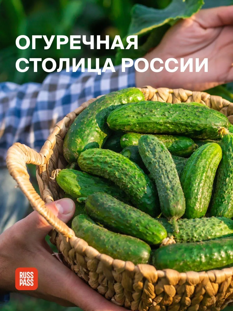 🥒🥒🥒🥒🥒🥒🥒🥒

📌 Август, Суздаль, огурцы и инструкция от RUSSPASS Журнала на 1 и 2 августа. Вы з