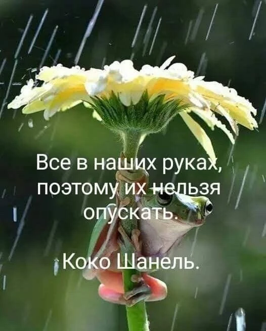 Цитата дня. Всё в наших руках, поэтому их нельзя опускать…
 
Ставьте ❤️, если согласны
 
✨ Релаксиум