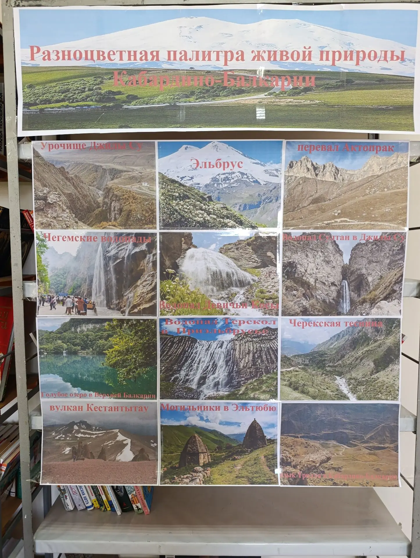 В библиотеке с.Заречного оформлена фотовыставка: «Разноцветная палитра живой природы края».         