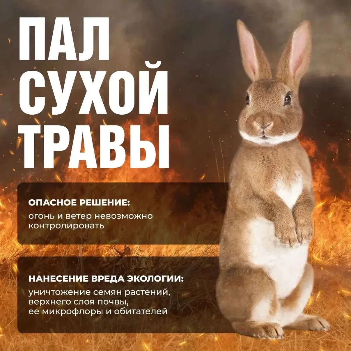 На территории Тверской области введено ограничение на разведение костров на природе.

Распоряжением 