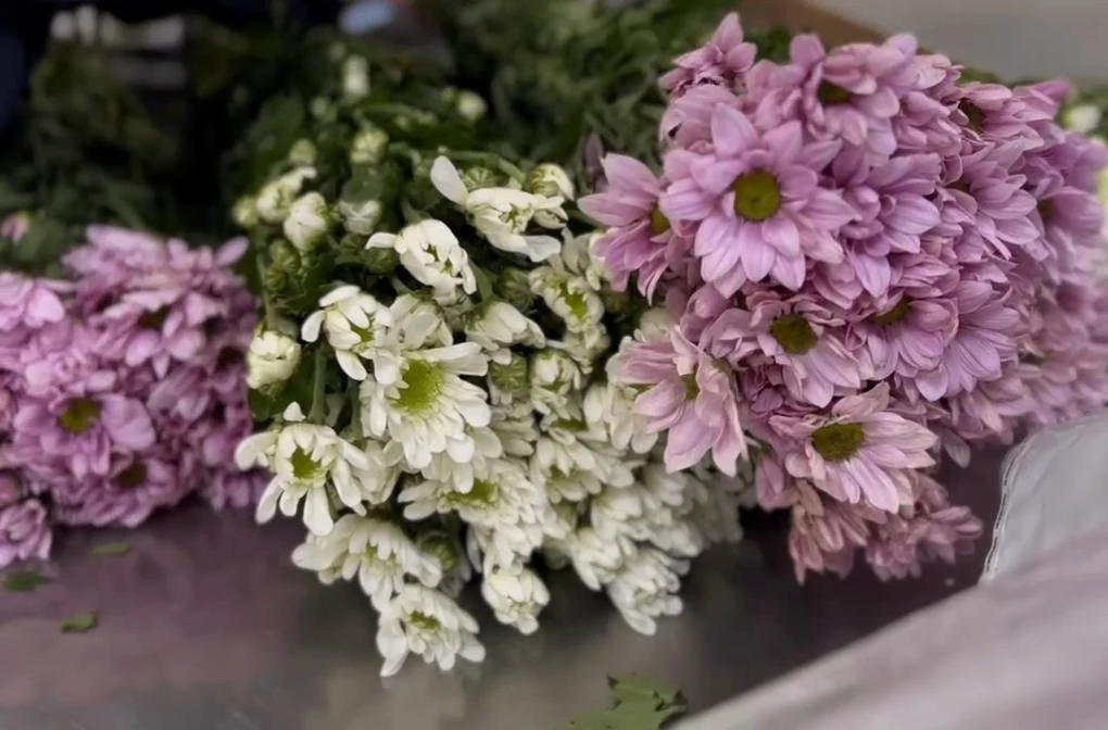 💐В Приамурье Россельхознадзором предотвращён ввоз импортных цветов, заражённых белой ржавчиной хриз