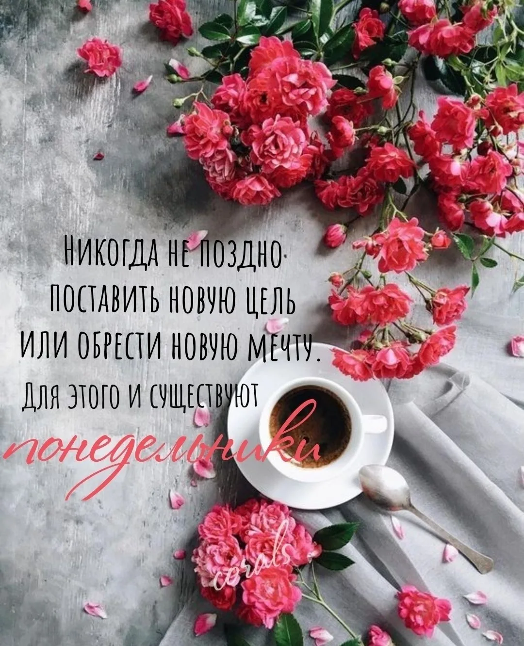 🇷🇺  Мы в МАХ : https://max.ru/dusha_angela_new