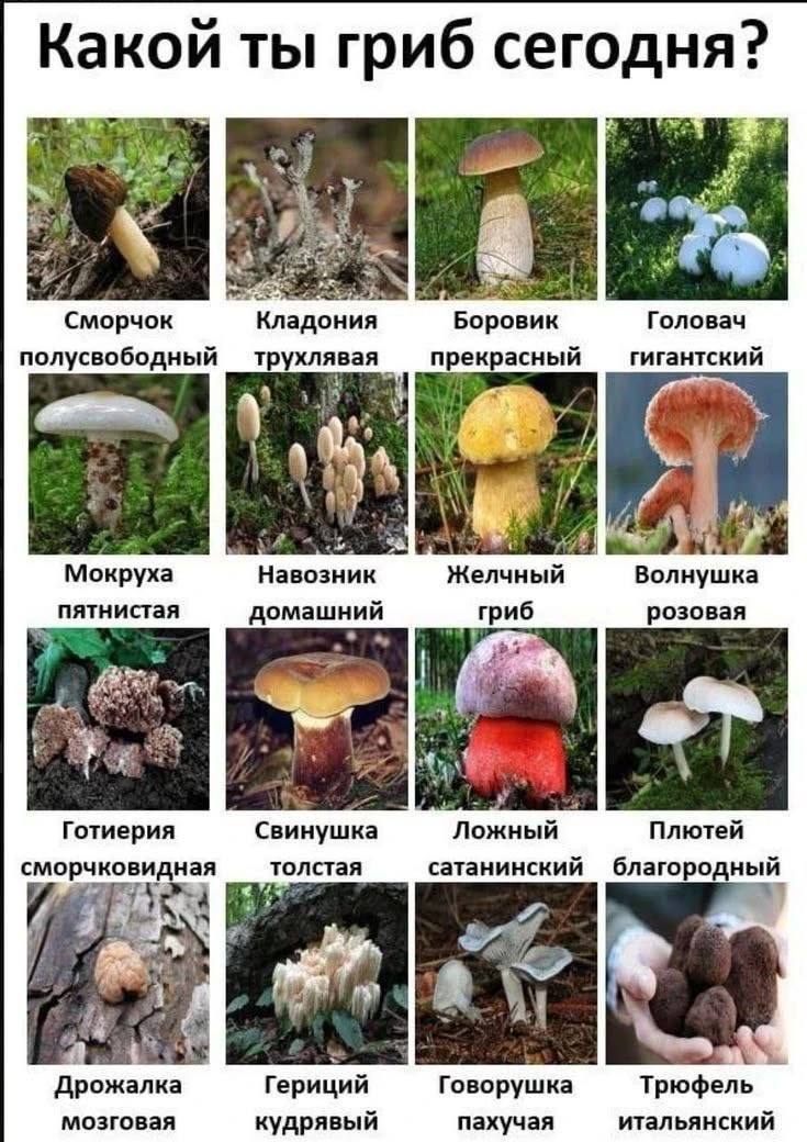 Мемчики недели 

кидайте в комменты ваш самый смешной мем недели