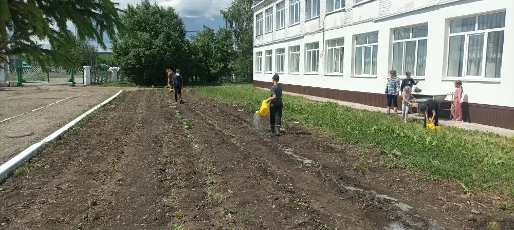 Пришкольный лагерь труда и отдыха продолжает свою работу по прополке и поливу школьного огорода и кл