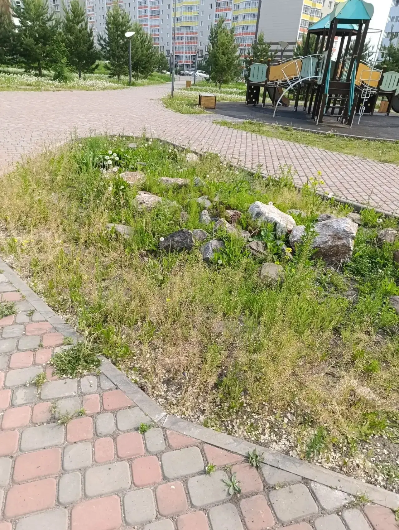 ⚡️Подскажите кто занимается озеленением в нашем городе, вот мы когда приехали в 2022 году, сквер кот