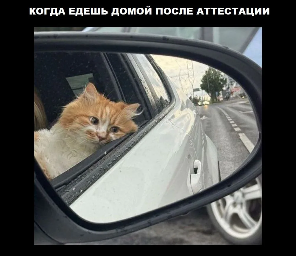 КРУТЫЕ КУРСЫ ЦГП КП
ВЕСНА-2026
лицензия №Л035-01218-23/01824369 от 04.02.2025

***

ПРОФЕССИОНАЛЬНОЕ