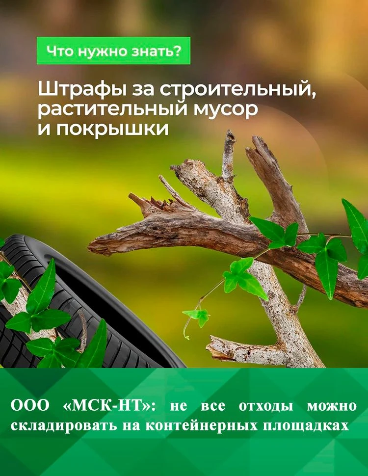 Ежегодно количество отходов на контейнерных площадках растёт. Только за май этого года силами регион