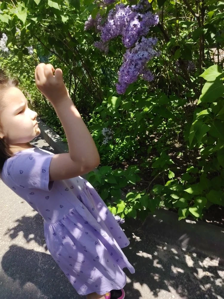 Май — настоящее время открытий для наших детей! На улице жарко, вокруг море зелени и ярких цветов, а