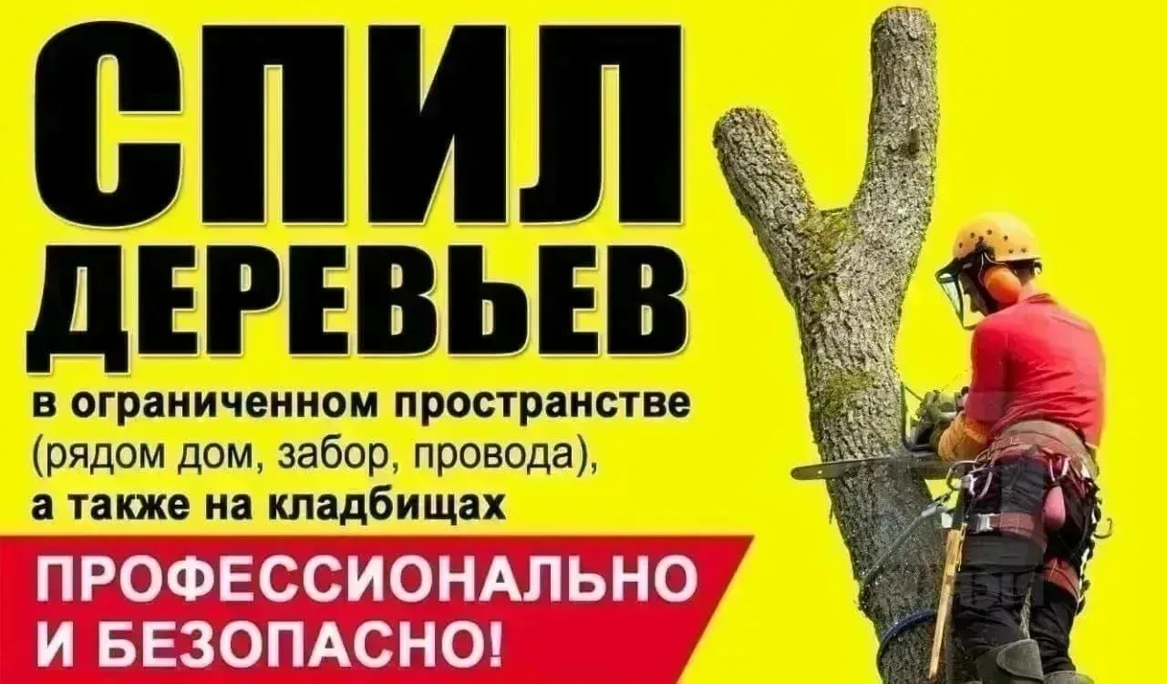Реклама
Арбористы Алтая
Спил деревьев
Омолаживание стволов
Удаление пня без корчевания
Демонтаж конс