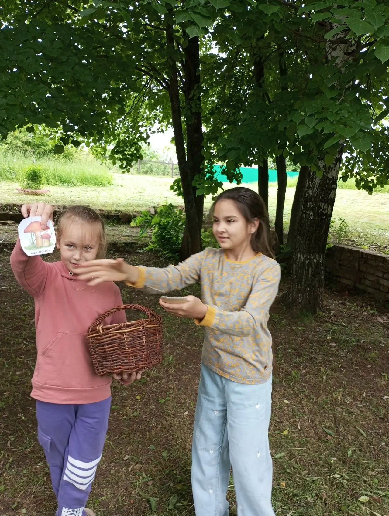 🌲🌳🌿Ежегодно 5 июня в России, как и в большинстве стран мира, проводится Всемирный день охраны окр