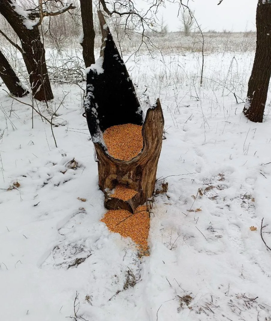 Зимние будни  Перевальского охотничьего участка
 ГБУ ЛНР “Луганское лесоохотничье хозяйство»
03.02.2