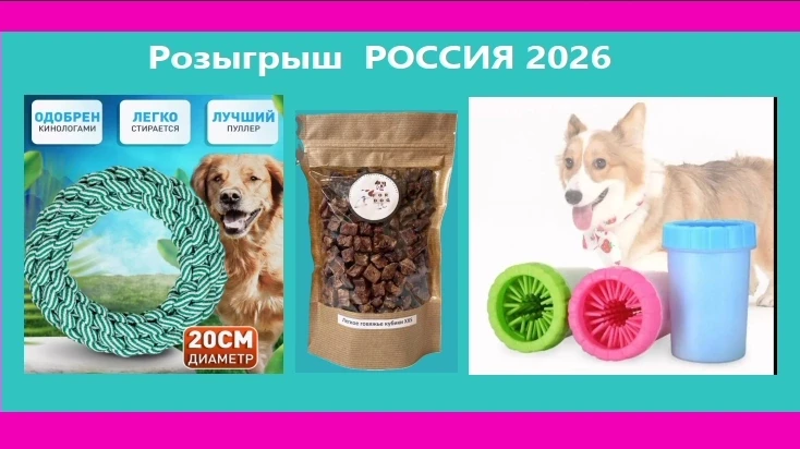 🔥РОЗЫГРЫШ  "России 2026"!🔥 
Розыгрыш проводится c 20 по 22 июня включительно! 

3 победителя получ