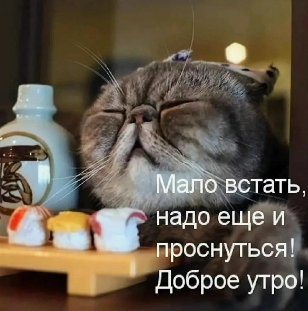 Добрый день!
Сегодня жду в 18:30

1. Подключайтесь за 5-10 мин.
2. Приготовьте стакан воды 💧

Не за