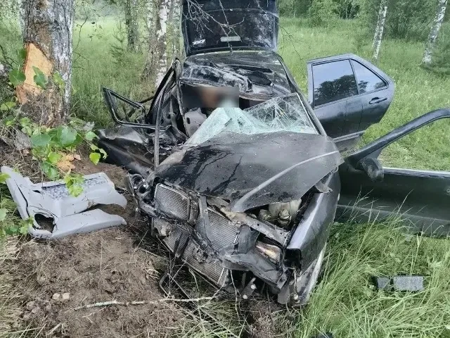 💥 В Костромской области машина не смогла разъехаться с деревом

Два человека оказались в больнице в