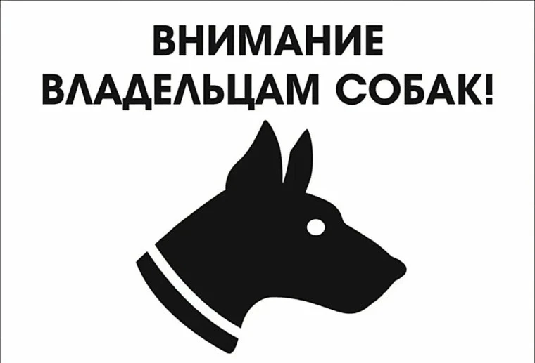 Привяжите собак!
          
Территориальный орган администрации обращается ко всем собственникам дом