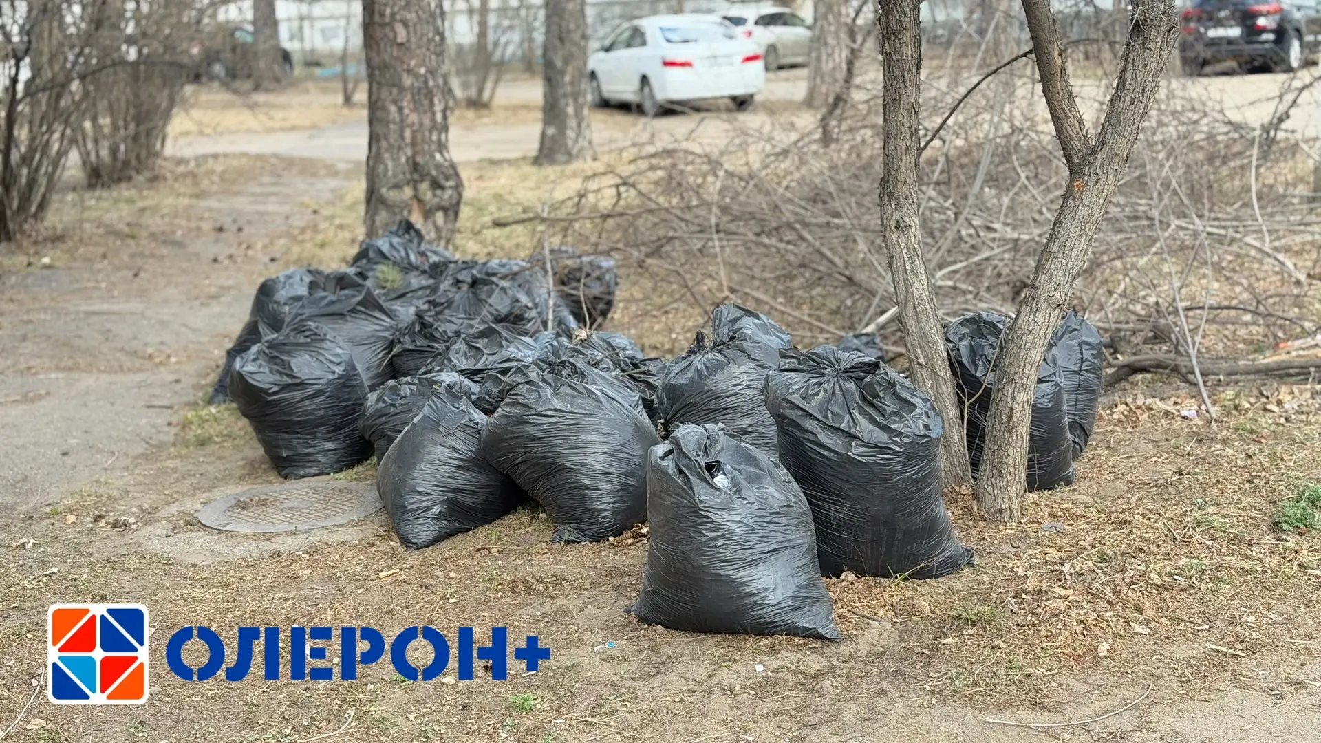 🧹Субботники: почему регоператор не вывозит мешки с улиц? Кто должен их убирать? 

🔆Череда субботни