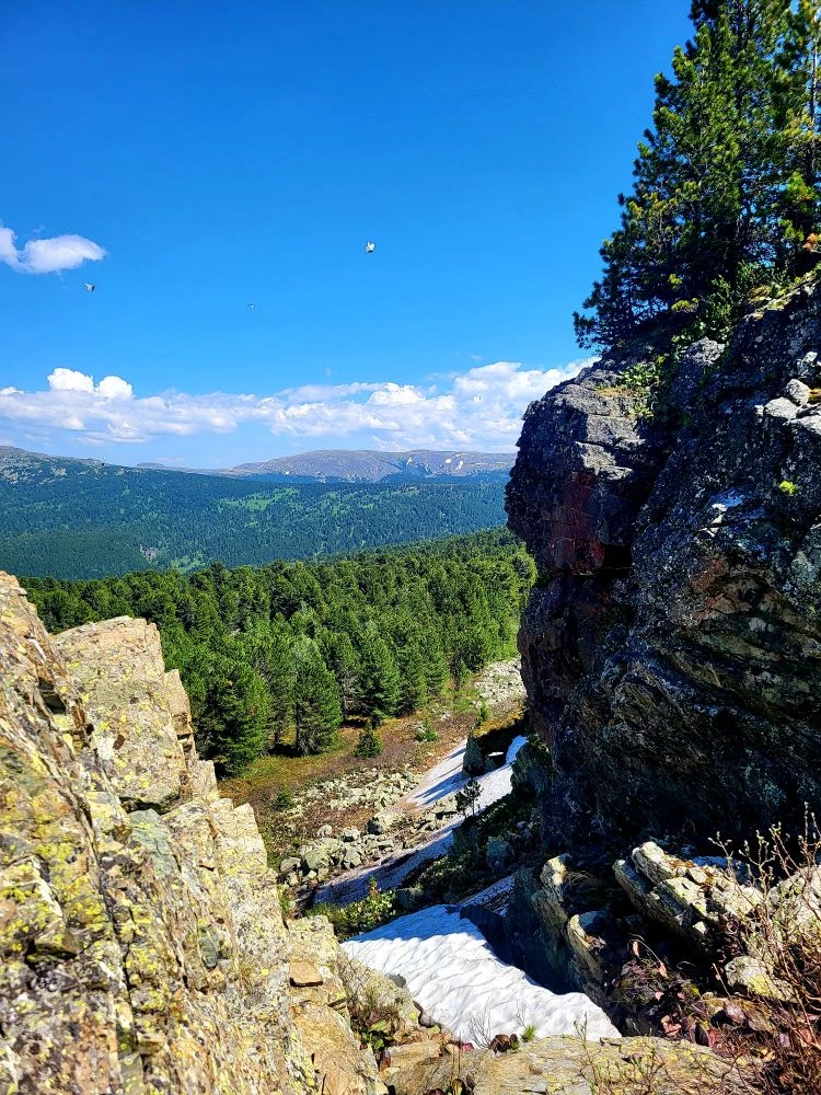 🗺️ В горах Алтая виды — не просто пейзажи. 
Это порталы в другой мир, где облака спускаются так низ